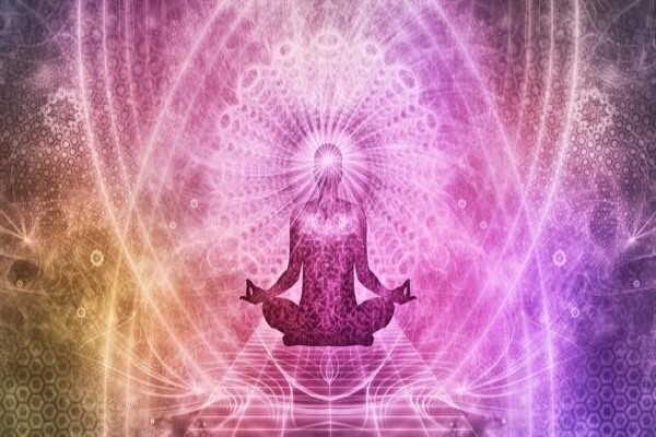 Wisdom To Nourish