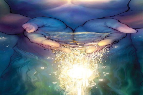 Wisdom To Nourish