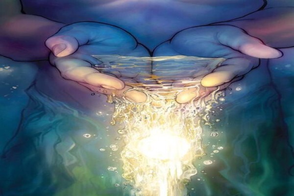 Wisdom To Nourish