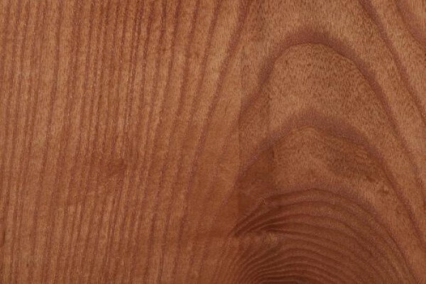 Woodbender