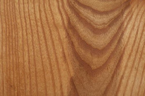 Woodbender