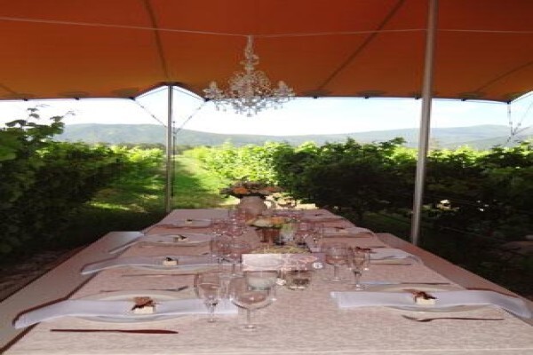 Events And Tents