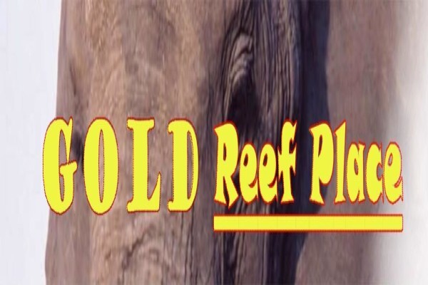 Gold Reef Place Guest House