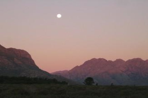 Fynbos Guest Farm