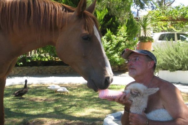 Fynbos Guest Farm