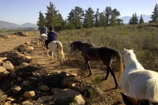 Fynbos Guest Farm