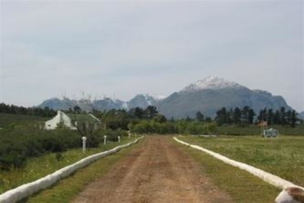 Fynbos Guest Farm