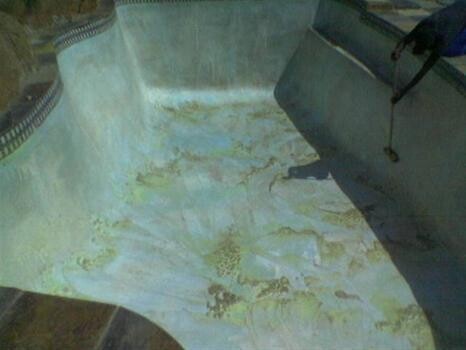 Amanzi Pools