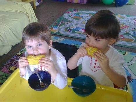 The Lollipop Tree Playgroup