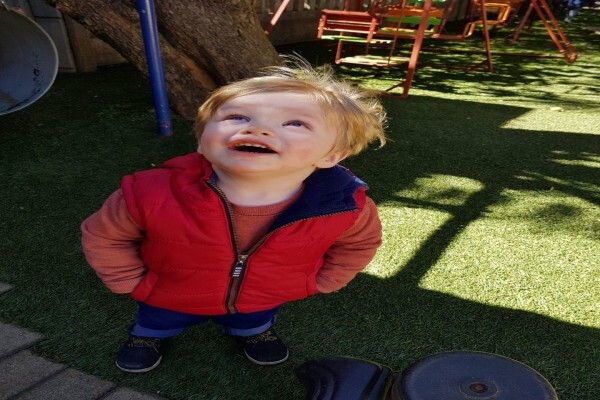 The Lollipop Tree Playgroup