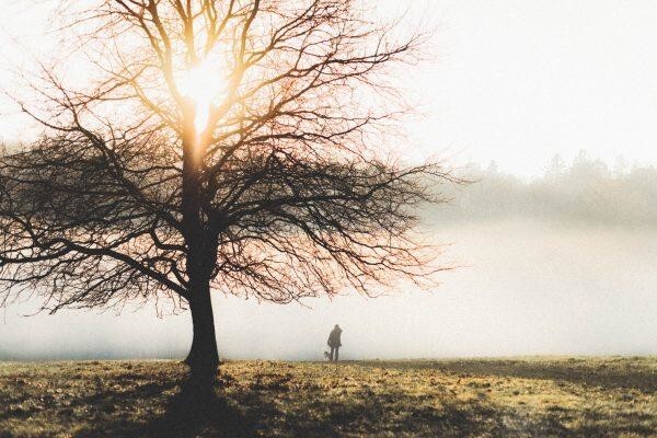 Tanli Joy Photography