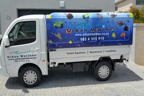 Urban Marines
