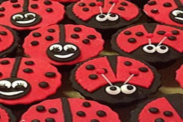 Carol'S Cakes