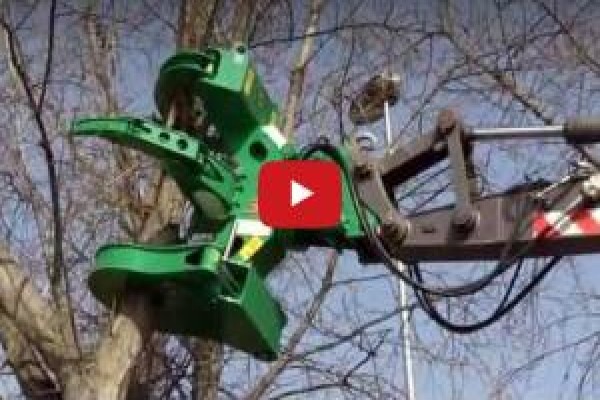 Treecycle