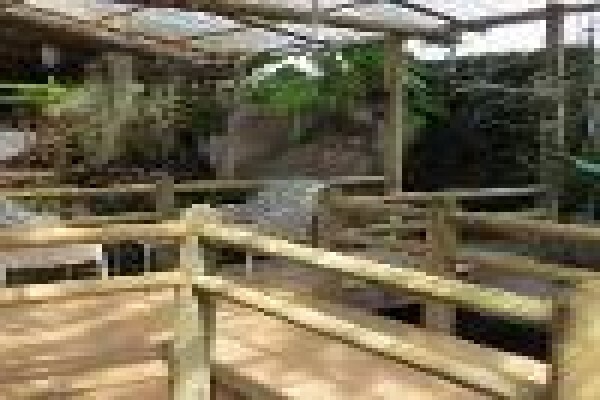 Dinkwe Guest House