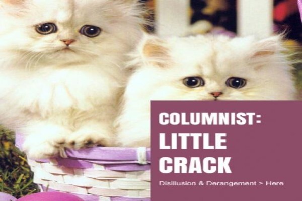 The Crack