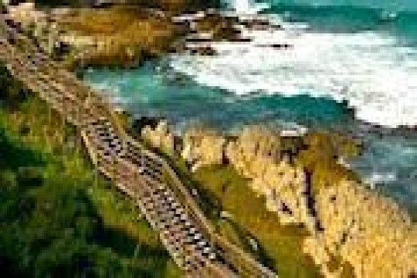 Showme Hermanus