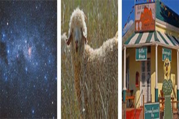 Showme