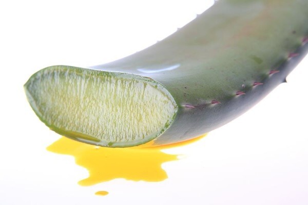 Aloe
