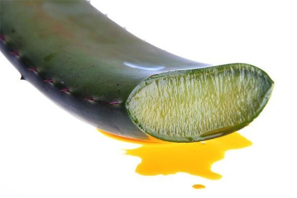 Aloe