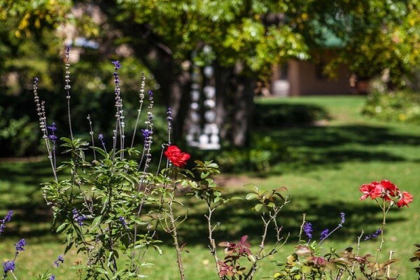 Chartwell Castle Guest House