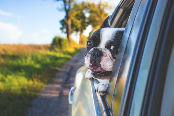 Sunninghill Village Veterinary Clinic