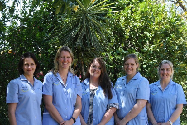Sunninghill Village Veterinary Clinic