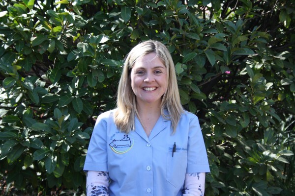 Sunninghill Village Veterinary Clinic