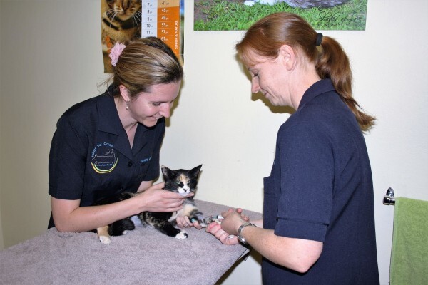 Sunninghill Village Veterinary Clinic