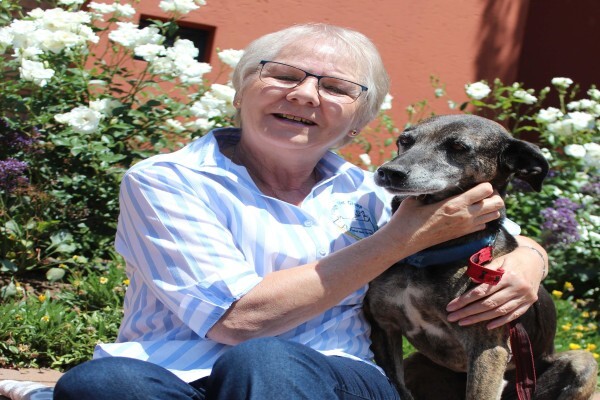 Sunninghill Village Veterinary Clinic
