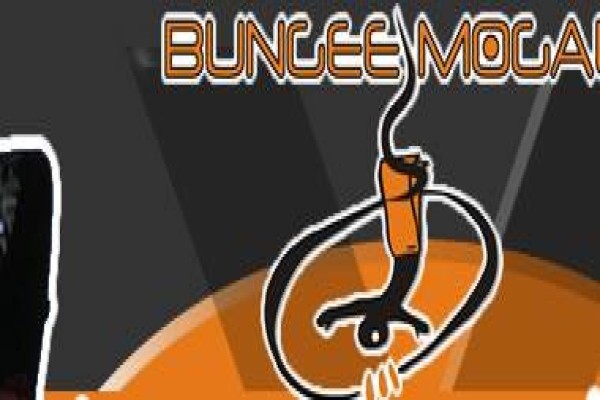 Bungee Mogale