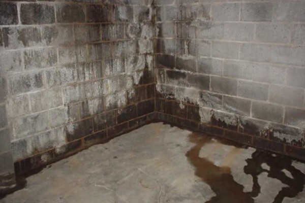 The Coating Worx - Ballito