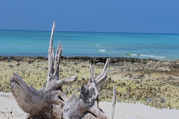 Madagascar Island Safaris