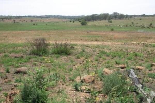 Property Junction