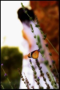 Jw Photography