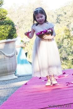 Scintillate Photography