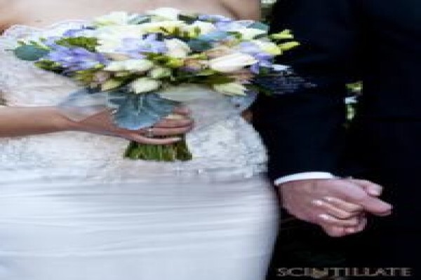 Scintillate Photography