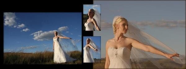 Zifec Photography
