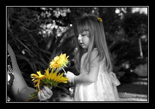 Dark Eye Photography