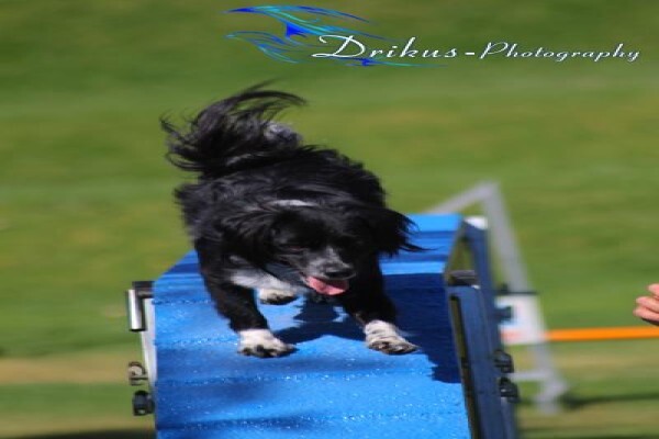 Drikus-Photography