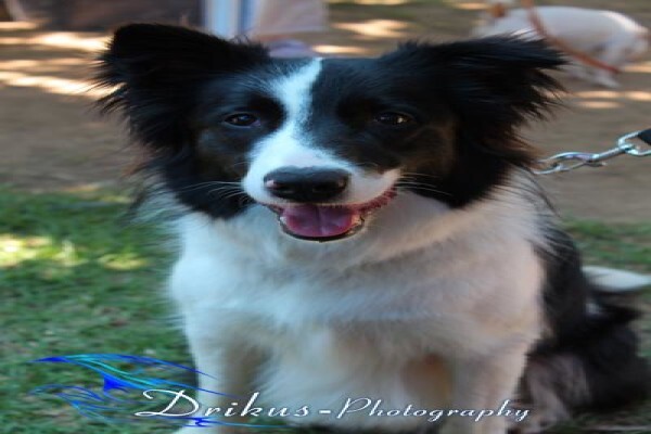 Drikus-Photography