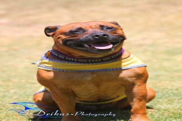 Drikus-Photography