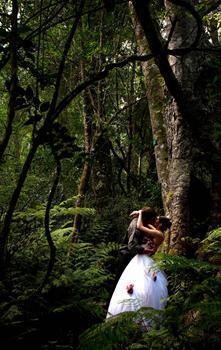 Jo Howell Photography