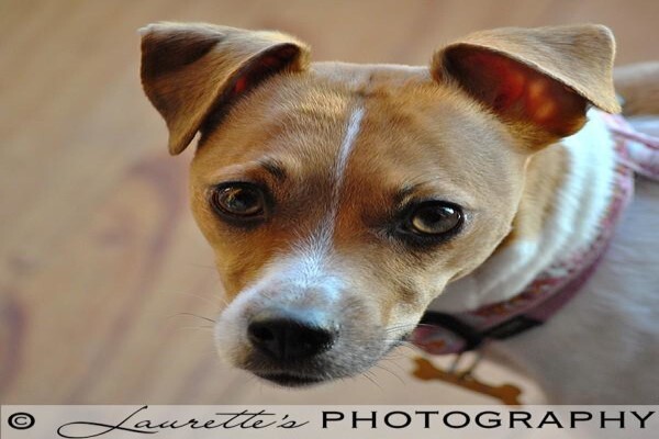 Laurette'S Photography
