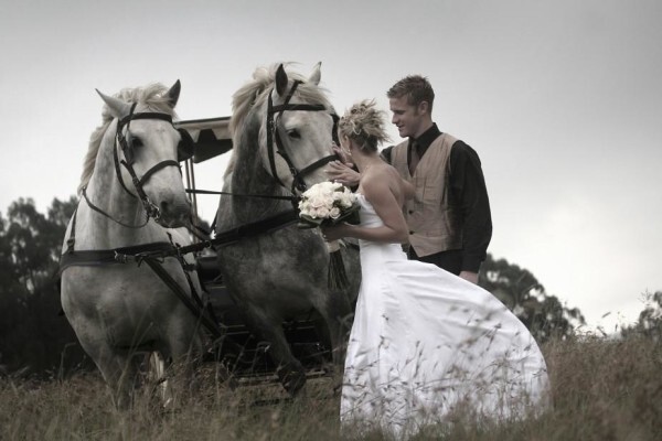 Lionel Peters Photography Cc