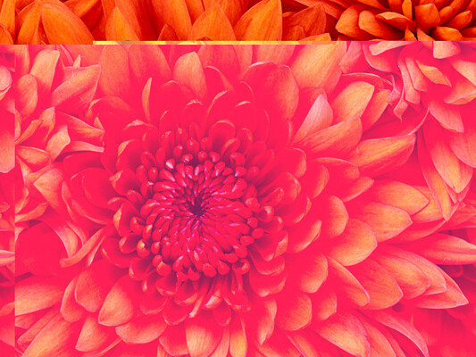 Photoco. Images Bloemfontein