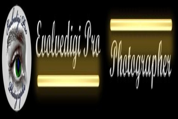 Evolvedigi Pro Photographer