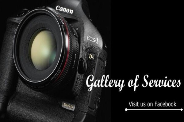 Evolvedigi Pro Photographer