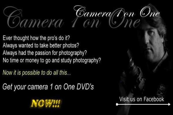 Evolvedigi Pro Photographer