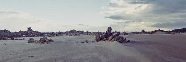 Estiaan Photography